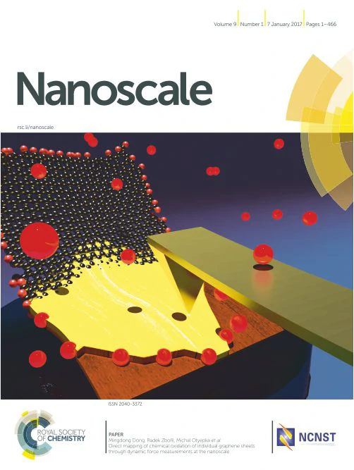 Nanoscale 2017, 1, DOI: 10.1039/C7NR90002C.